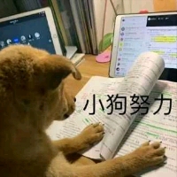 小狗