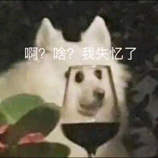 憨皮￣﹁￣