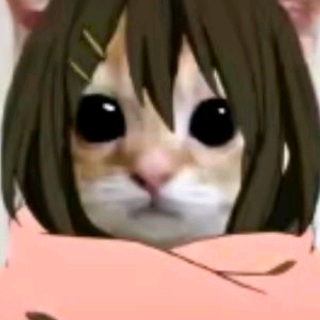 悲伤小猫