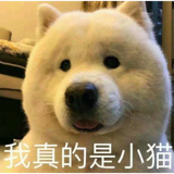 狗钩