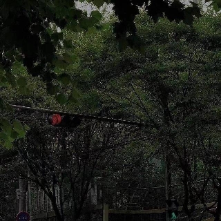凫鹤从方