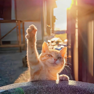 伍六七