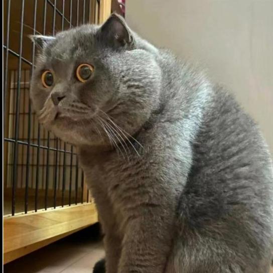 桃妖