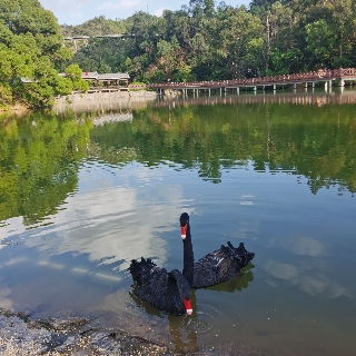 与你