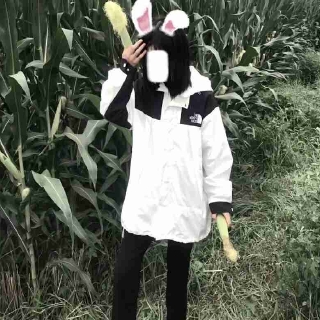 桃妖