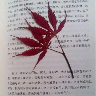 桃妖