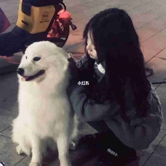 桃妖