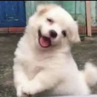 桃妖