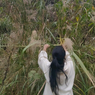 桃妖