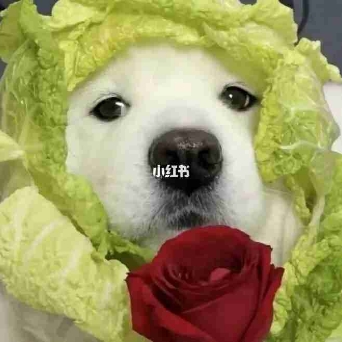 桃妖