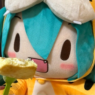 cc
