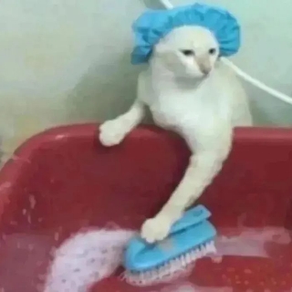 桃妖