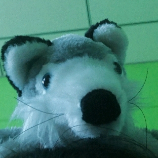 桃妖