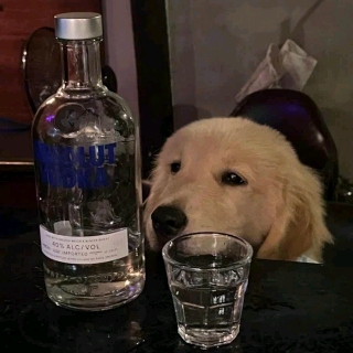 桃妖