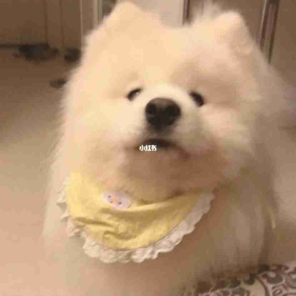 桃妖