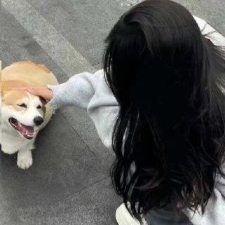 桃妖