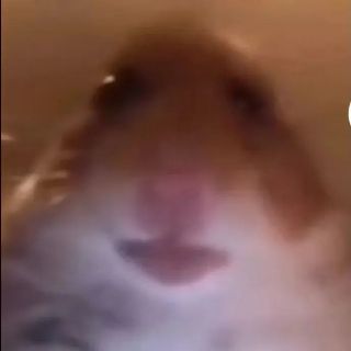 桃妖