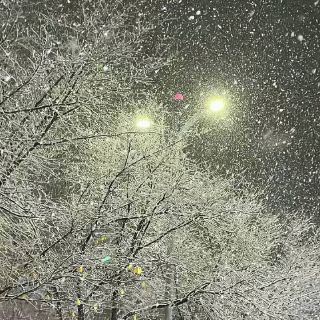 蜜酒酿
