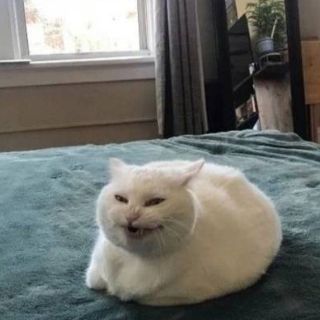 桃妖