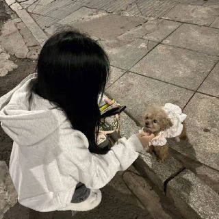 晴栀