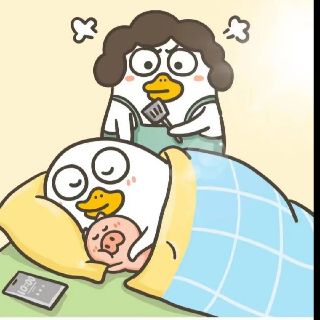 刘小鸭