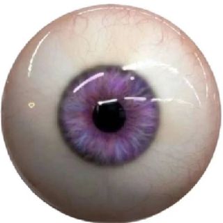 眼珠子