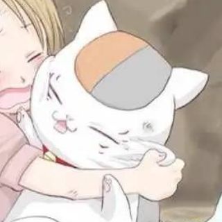 猫咪老师