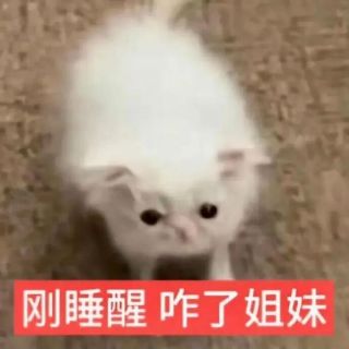 小羊
