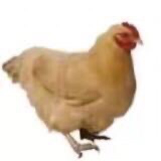 桃妖