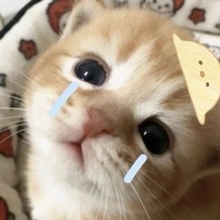 小言