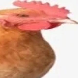闪光大掉顶天立地