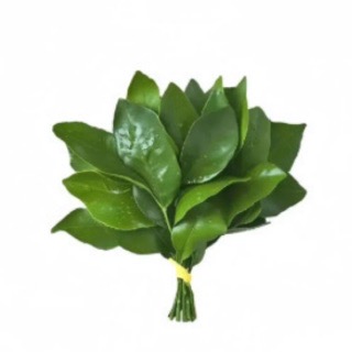 芈栀